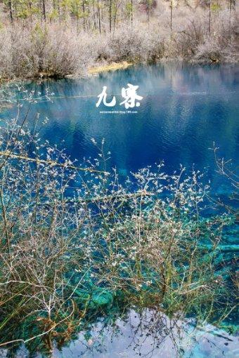 主公才是真绝色