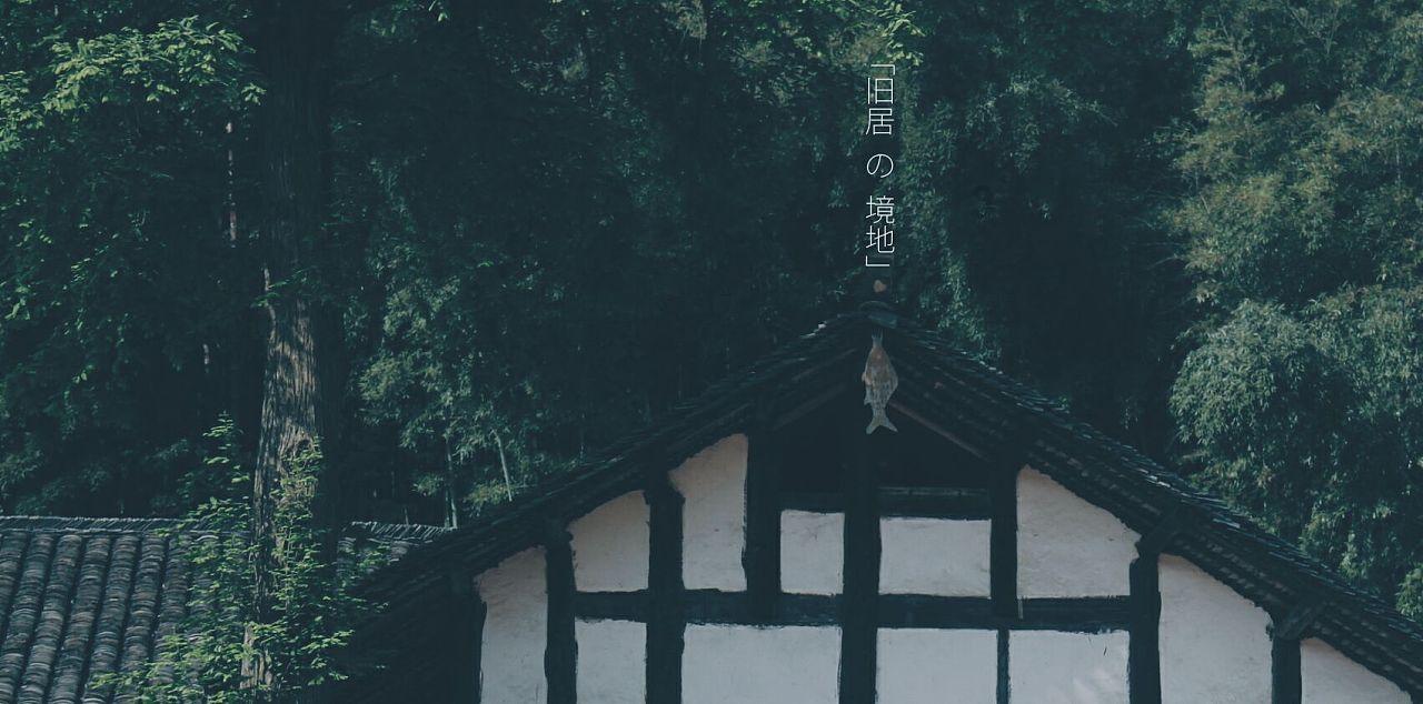 老妇人营救