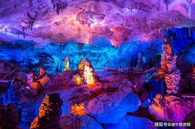 虫虫助手下载