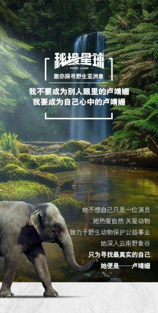 疯狂的小偷