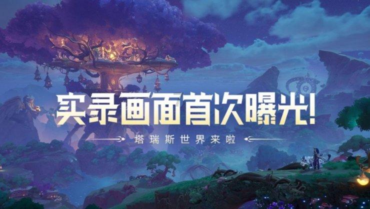 可爱的小考拉
