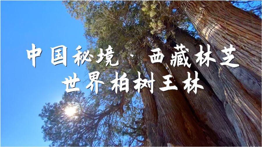 方块碰碰碰