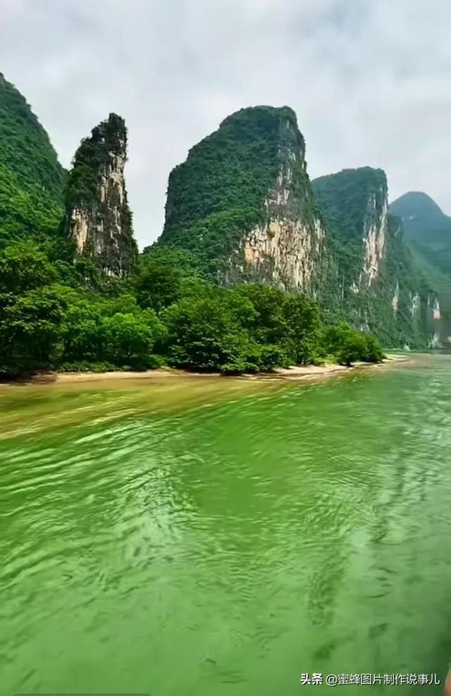 小猫钓鱼正版下载中文版