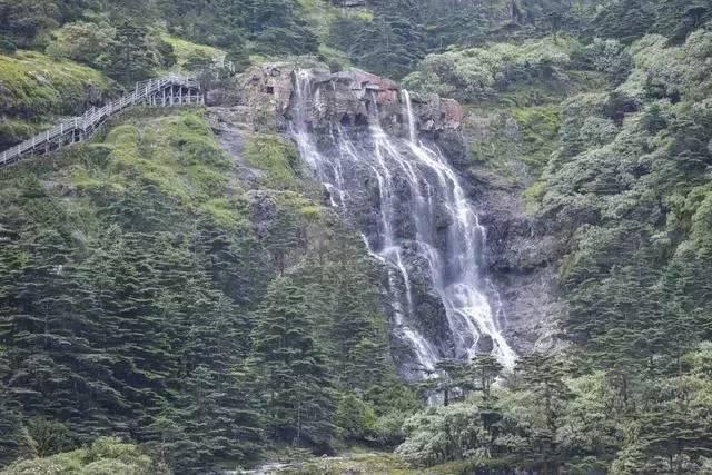电脑每天都自动安装一堆垃圾软件,卸载后还会自动安装,咋办?——机智问答,精准解答你的疑问