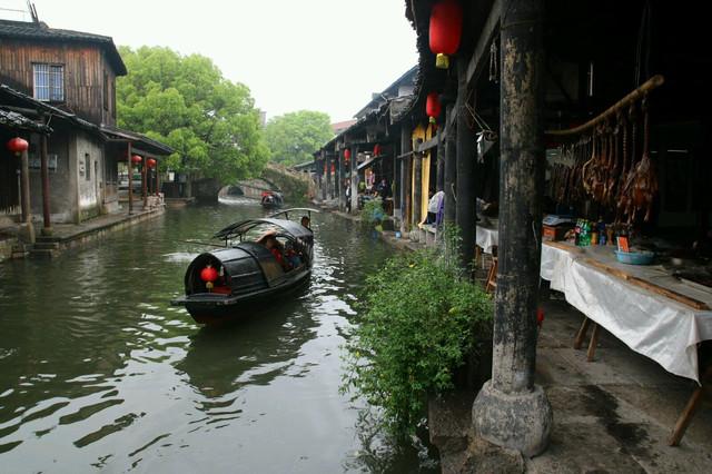 《探索什么是鸡蛋果?,解锁无限知识星球!》